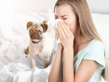 Bệnh Sán Chó: Những Điều Cần Biết Về Bệnh Sán Chó